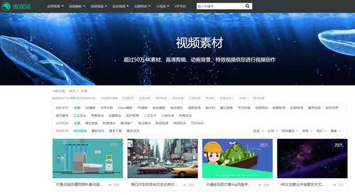 爆料类型的视频素材,视频素材背后的惊人真相  第2张